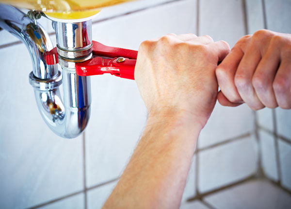 About Wolf Run Plumbers